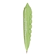 Vegetable Pen Pea Pod