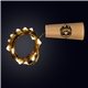 white cork string light set