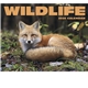 Wildlife Appointment Calendar - Stapled