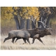 Wildlife Appointment Calendar - Stapled