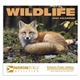 Wildlife Appointment Calendar - Stapled