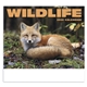 Wildlife Appointment Calendar - Stapled