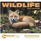 Wildlife Appointment Calendar - Stapled