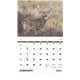 Wildlife Portraits - Stapled - Good Value Calendars(R)