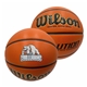 wilson evolution basketball