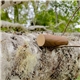 Wood Log Stress Reliever