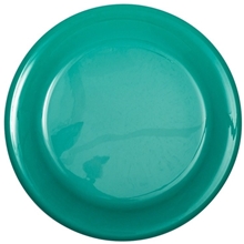 a aqua 9 flyer disc with our realcolor360 imprint