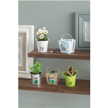 aerial view a group of mini pail blossom kit, image 1 of 17