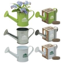 aerial view a group of mini watering can blossom kit, image 1 of 13