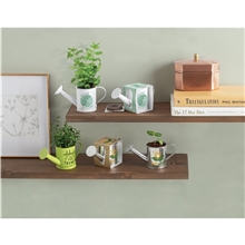 aerial view a group of mini watering can blossom kit, image 1 of 15