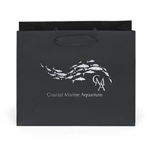 aerial view a black 157 gsm laminated paris bag w / foil print, image 1 of 2