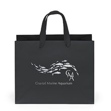 aerial view a black 157 gsm laminated paris bag w / foil print, image 1 of 8