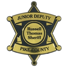 aerial view a gold clip - on sheriff badge, image 1 of 3