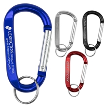 a group of large size carabiner keyholder with split ring attachment