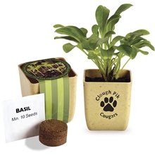 aerial view a tan prime line flower pot set with basil seeds, image 1 of 3