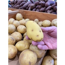aerial view a group of potato stress reliever, image 1 of 3