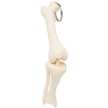 aerial view a white knee joint bone keyring, image 1 of 5