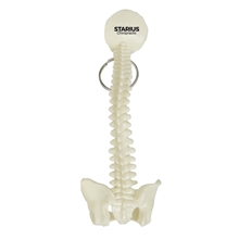 aerial view a white spine and pelvis bone keyring, image 1 of 6