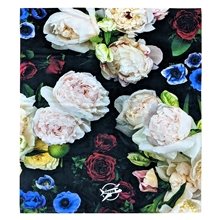 50 X 60 Polyester Blanket