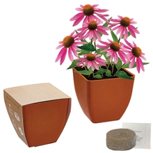 aerial view a group of bamboo blossom kit, image 1 of 5