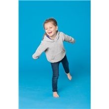a group of port company(r) toddler core fleece pullover hooded sweatshirt - colors