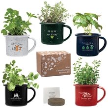 aerial view a group of mini campfire mug blossom kit, image 1 of 7