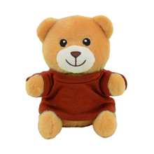 a bear little buddies plush toy with t - shirt