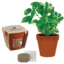 aerial view a group of mini blossom kit with biodegradable pot, image 1 of 19