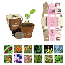 aerial view a group of mini blossom kit with biodegradable pot, image 1 of 18
