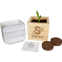 aerial view a natural wooden cube grow kit, image 1 of 2