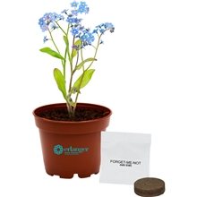 aerial view a brown terra cotta petite planter kit, image 1 of 5