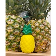 a group of pineapple squeezies stress reliever ball