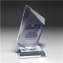 a group of large multiple angled award