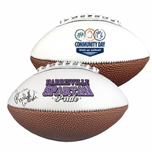 aerial view a group of full size signature football 14, image 1 of 3