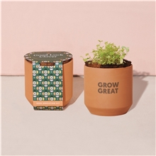 aerial view a group of modern sprout(r) tiny terracotta grow kit good luck clover, image 1 of 5