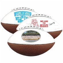 aerial view a group of 10 mid - size synthetic leather signature football, image 1 of 4