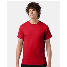 a group of champion short sleeve tagless t shirt