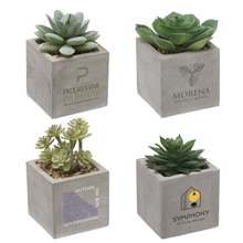 a group of mini faux potted succulent