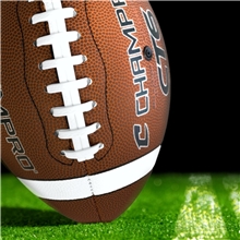 a group of 14 champro full size footballs