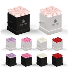 a group of classique by vef le mini(tm) square