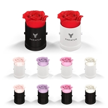 a group of classique by vef le mini(tm) round