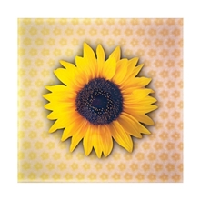 a custom 5d signage 11.75 x 11.75