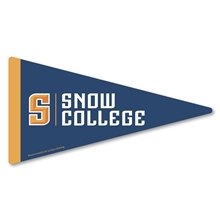 aerial view a custom pennant car sign magnet 7.125 x 3.75, image 1 of 2