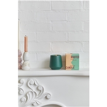 aerial view a group of modern sprout(r) rooted candle, image 1 of 2