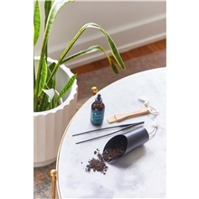 aerial view a group of modern sprout(r) plant parent care kit, image 1 of 4