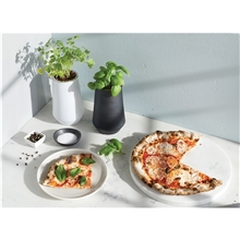 a group of modern sprout tapered tumbler grow kit