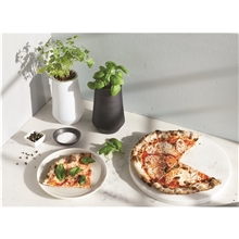 a group of modern sprout tapered tumbler grow kit