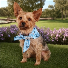 aerial view a group of sublimated rpet bandana, image 1 of 4