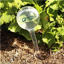 aerial view a group of evergreen self - watering globe, image 1 of 3
