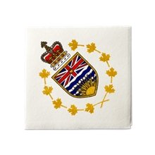 aerial view a white linen - esque(r) beverage napkins, image 1 of 2